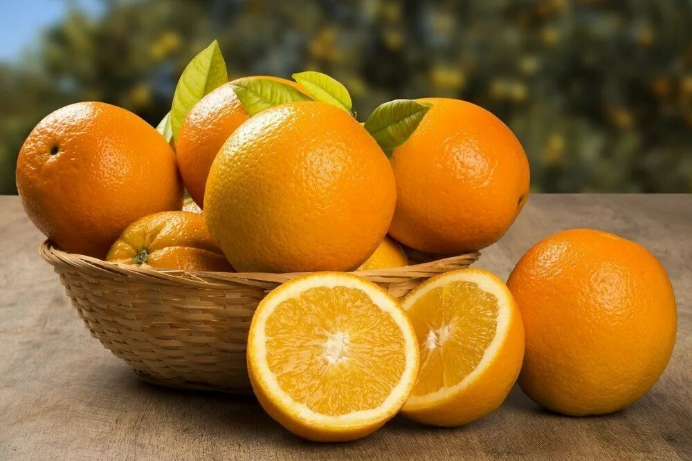Апельсин фрукт или ягода. Померанец апельсин. Красивый апельсин. Оранжевый апельсин. Египетские апельсины.