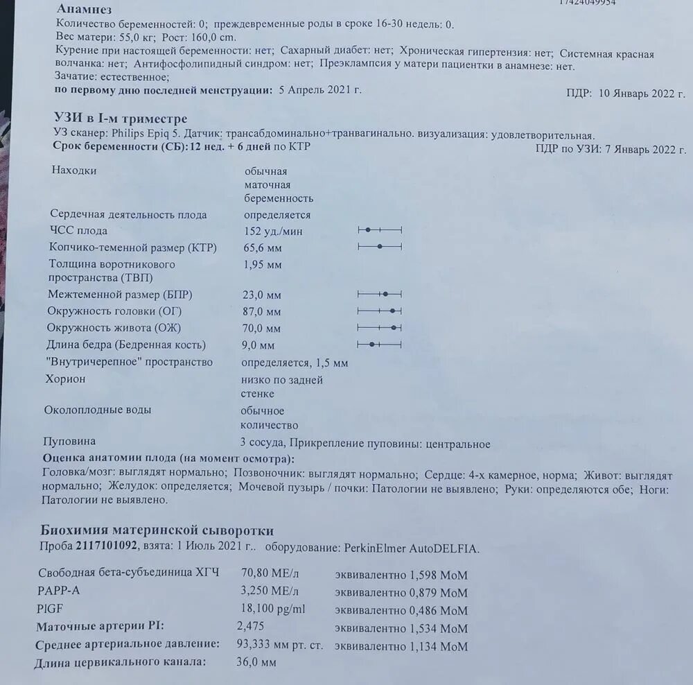 Скрининг при беременности на какой неделе. Риск задержки роста плода на первом скрининге. Задержка развития плода до 37 недель норма скрининг. Задержка роста плода первый скрининг. 1 Скрининг задержка роста плода до 37 недель.