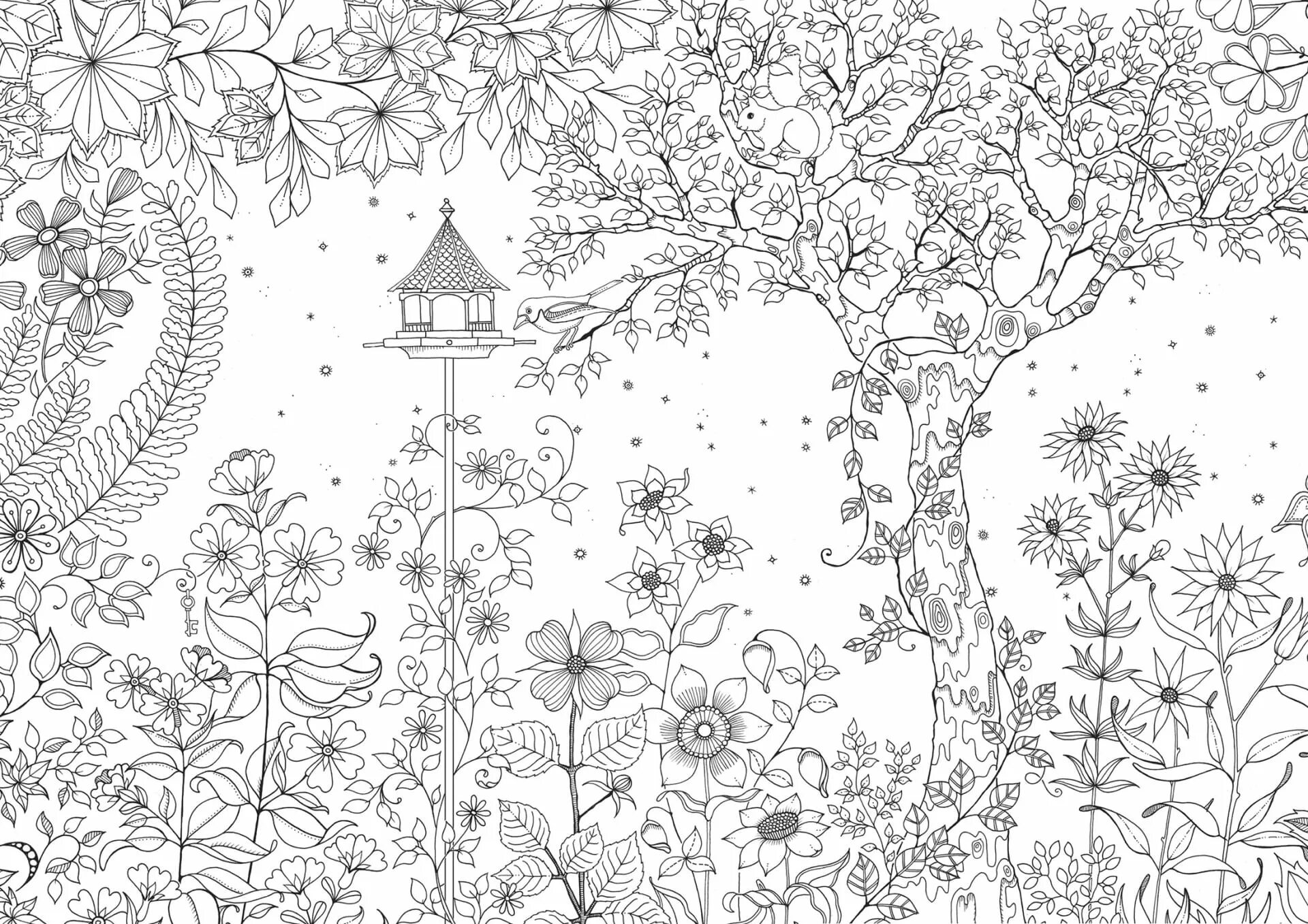 Трава антистресс. Джоанна Бэсфорд таинственный сад. Бэсфорд Джоанна "мир цветов". Джоанна Бэсфорд таинственный лес. Раскраска таинственный сад Джоанна Басфорд.