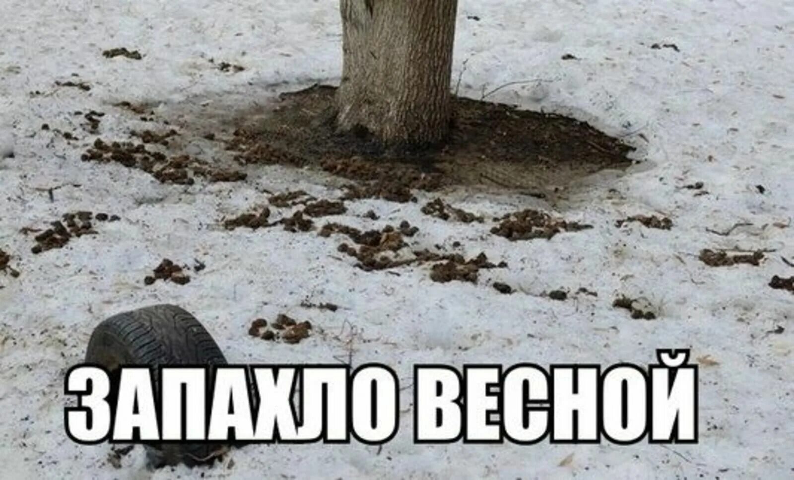 Пока не растаяло. Смешное про весну.