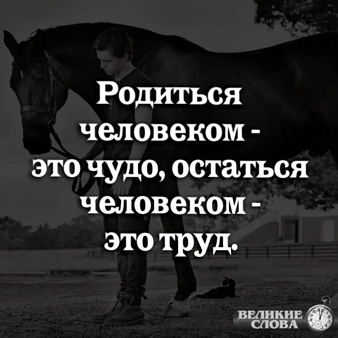 Родиться человеком это чудо. Родиться человеком это чудо остаться. Остаться человеком -это родиться это чудо это труд. Остаться человеком. Оставайся человеком видео