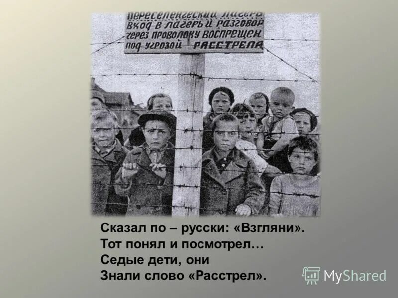 сталин расстрелять мем. приказ о расстреле. казнь емельяна пугачева на болотной площади в москве. слово расстрела. зоя космодемьянская казнь.