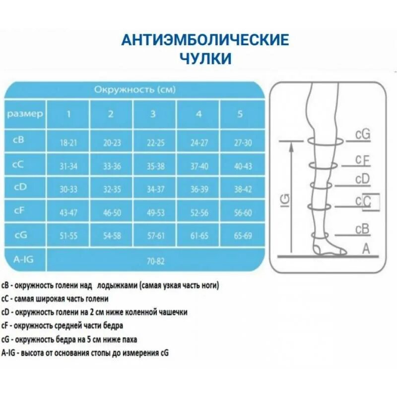 Как подобрать компрессии чулок. Чулки антиэмболические Ergoforma eu 237. Чулки Эргоформа антиэмболические Размерная сетка. Чулки антиэмболические Ergoforma Размерная сетка. Чулки компрессионные Ergoforma eu 227.