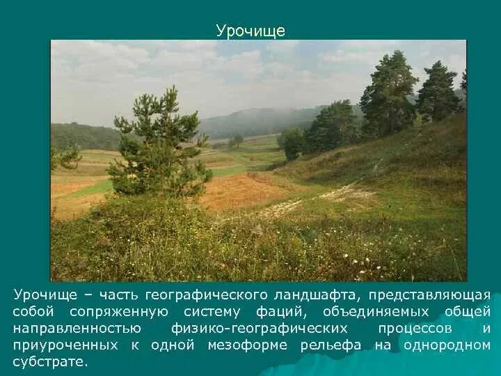 Урочище вельмеж смоленская область. Урочище куиньсэрго. Фация ,урочище,местность. Урочище ландшафтоведение. Урочище ландшафт фация.