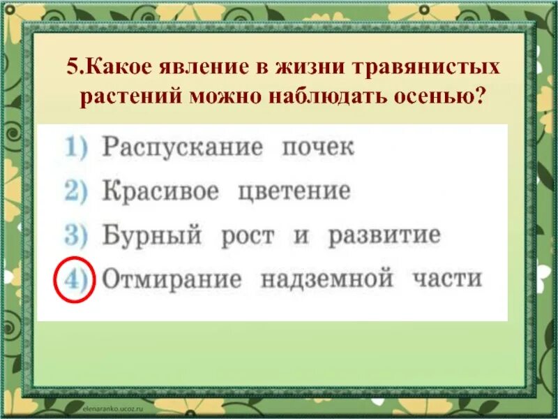 Какое явление в жизни растений можно наблюдать осенью. Какое явление в жизни травянистых растений можно наблюдать осенью. Какие явления в жизни растений можно наблюдать осень. Какое явление в жизни травянистых можно наблюдать осенью. Какое явление наблюдал ученик