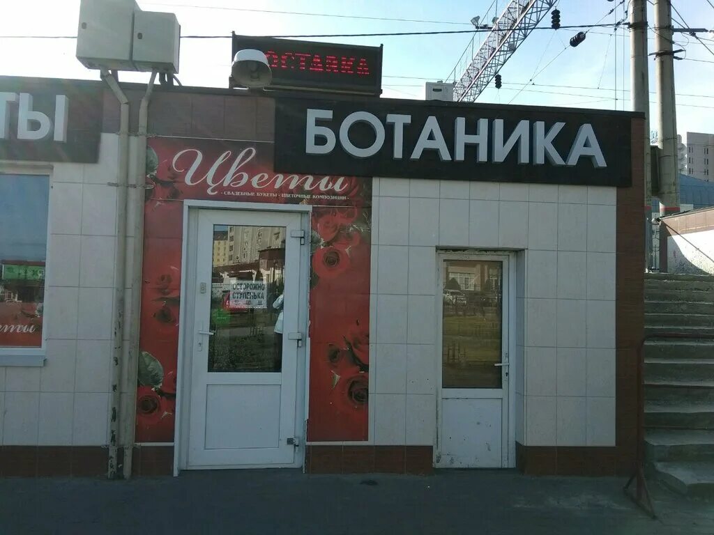 Ботаник цветочный магазин