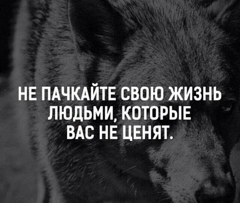 Где ценят людей. Не пачкайте свою жизнь людьми которые вас не ценят. Цитаты о лбдец которыетнетценят. Цитаты о людях которые не ценят. Цитаты про людей которые не ценят людей.