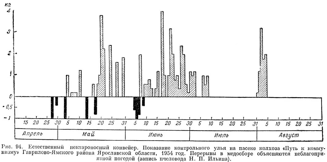 Период наращивания. График медосбора. Привесы контрольного улья. Таблица медо Бора. Основной медосбор.