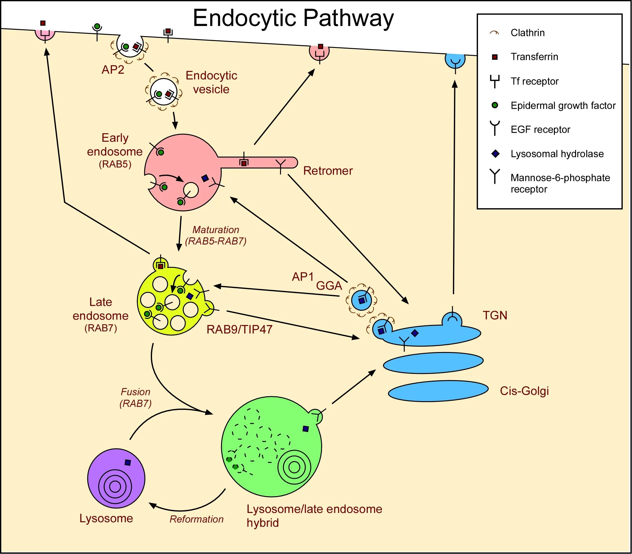 Pathways 2