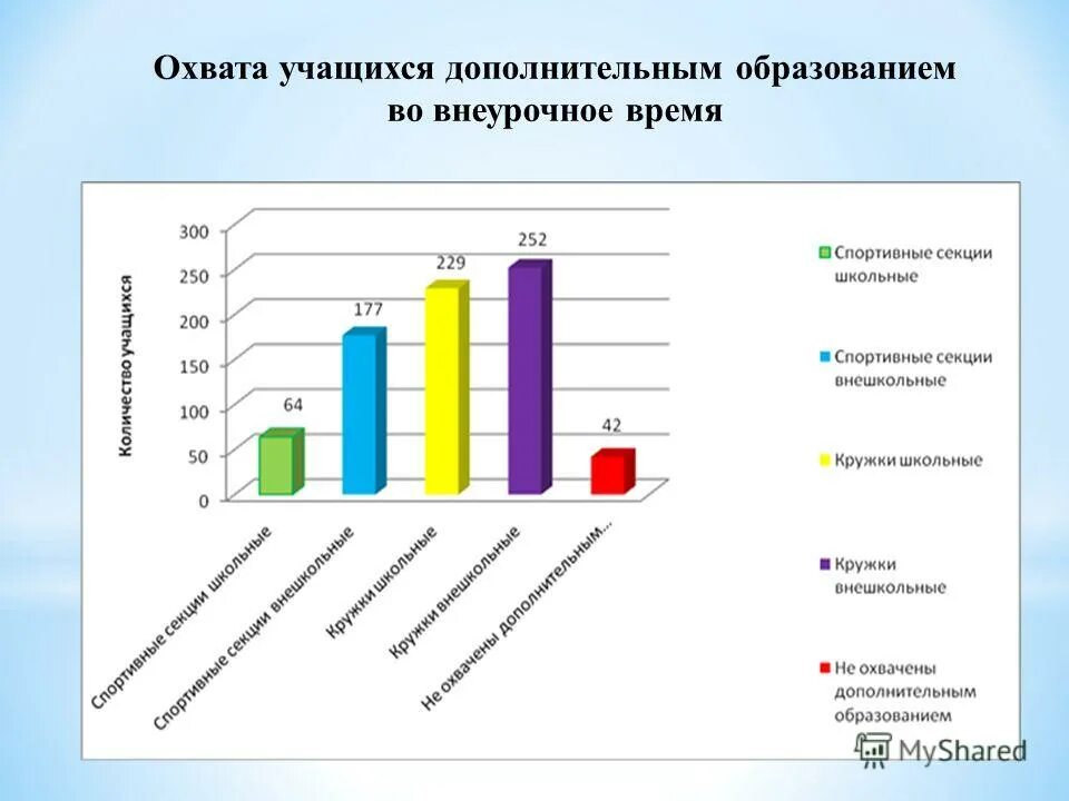 занятость дополнительным образованием