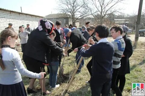 Погода в каранай буйнакском районе