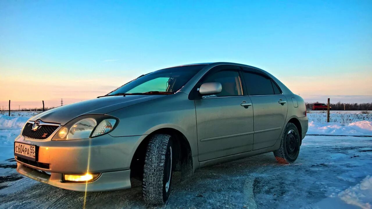 Toyota Corolla бочка. Тойота Королла бочка 2004. Тойота Corolla бочка. Королла бочка универсал. Дром алтайский край тойота королла