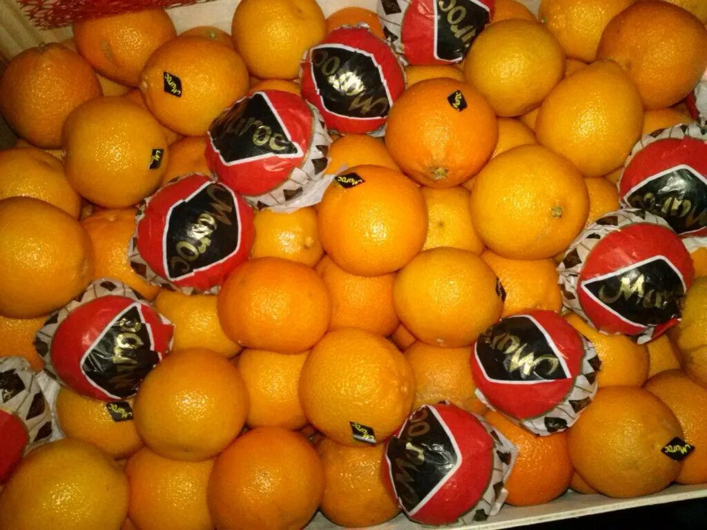 Апельсины страны производители. Мандарины Марокко. Мандарин Марокко сорта. Мандарины из Марокко. Мандарины Марокко сорт Валенсиана.
