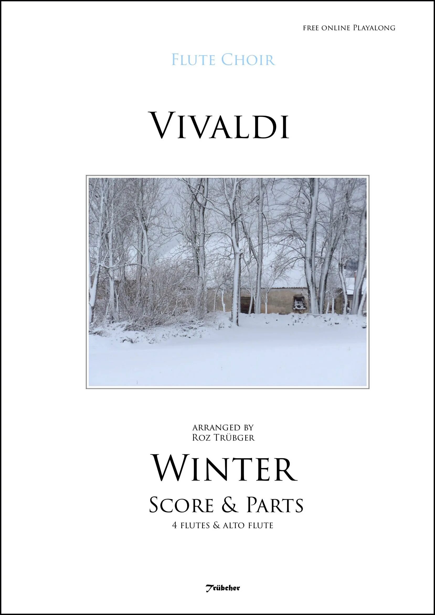 Вивальди винтер. Вивальди зима. Вивальди зима 1 часть. Вивальди зима картинки. Антонио Вивальди зимний птички.