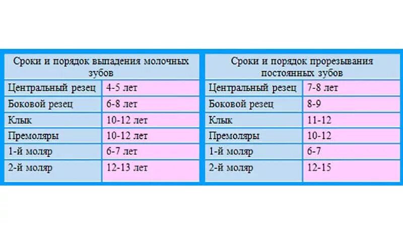 4 года зубы выпадают. Схема выпадения молочных зубов. Таблица во сколько лет выпадают зубы молочные. В каком возрасте начинают выпадать молочные зубы у мальчиков. В каком возрасте выпадают молочные зубы у детей схема.