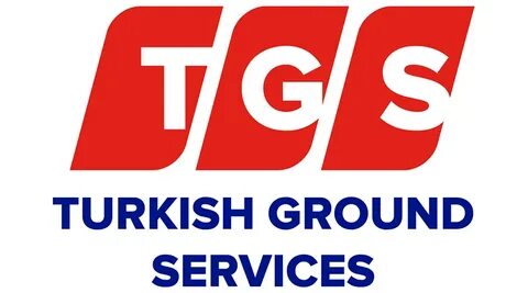 Tgs файл
