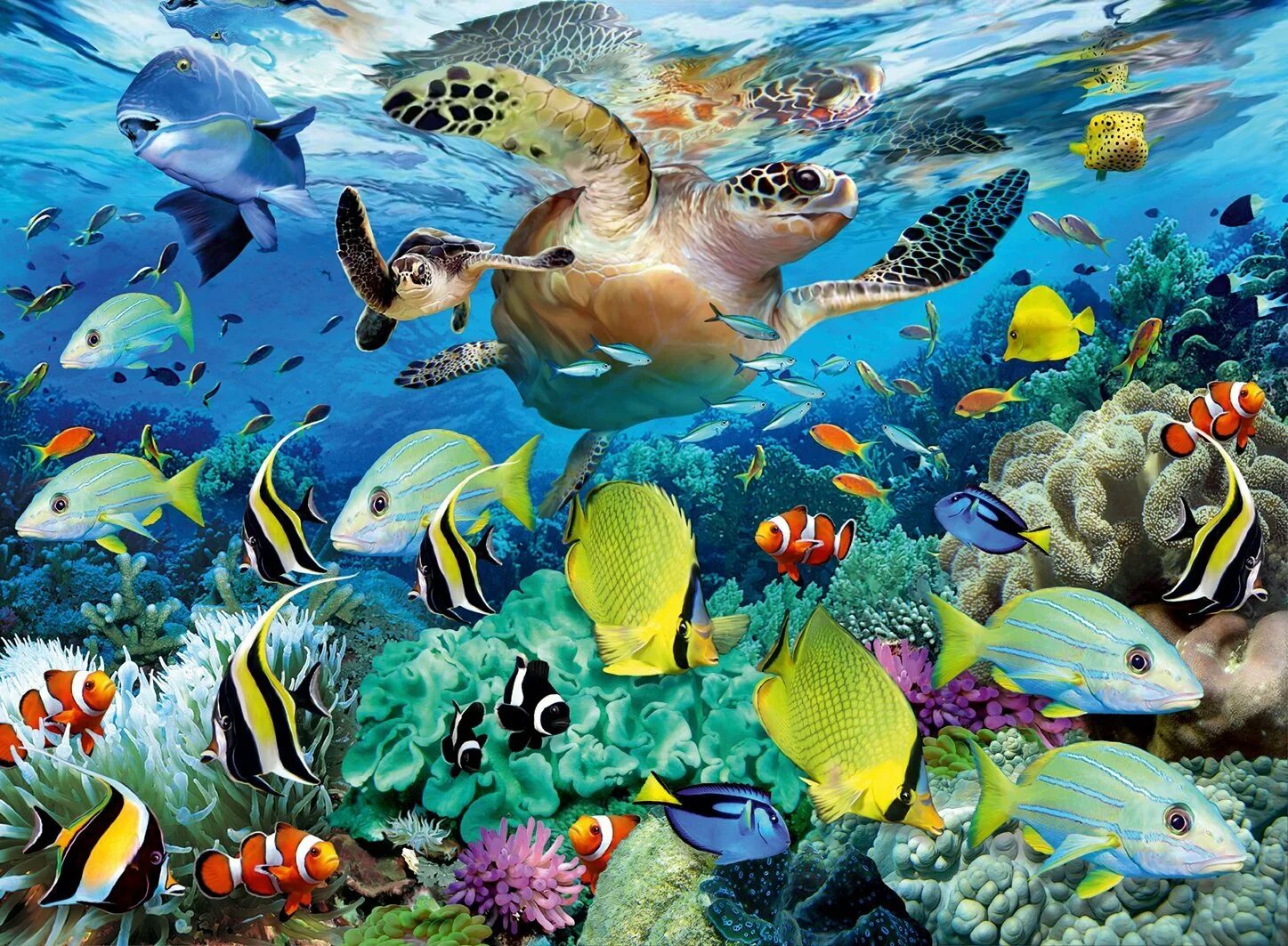 Морской мир россии. Пазл коралловый риф. Морские обитатели. Обитатели океанов. Подводный мир обитатели.