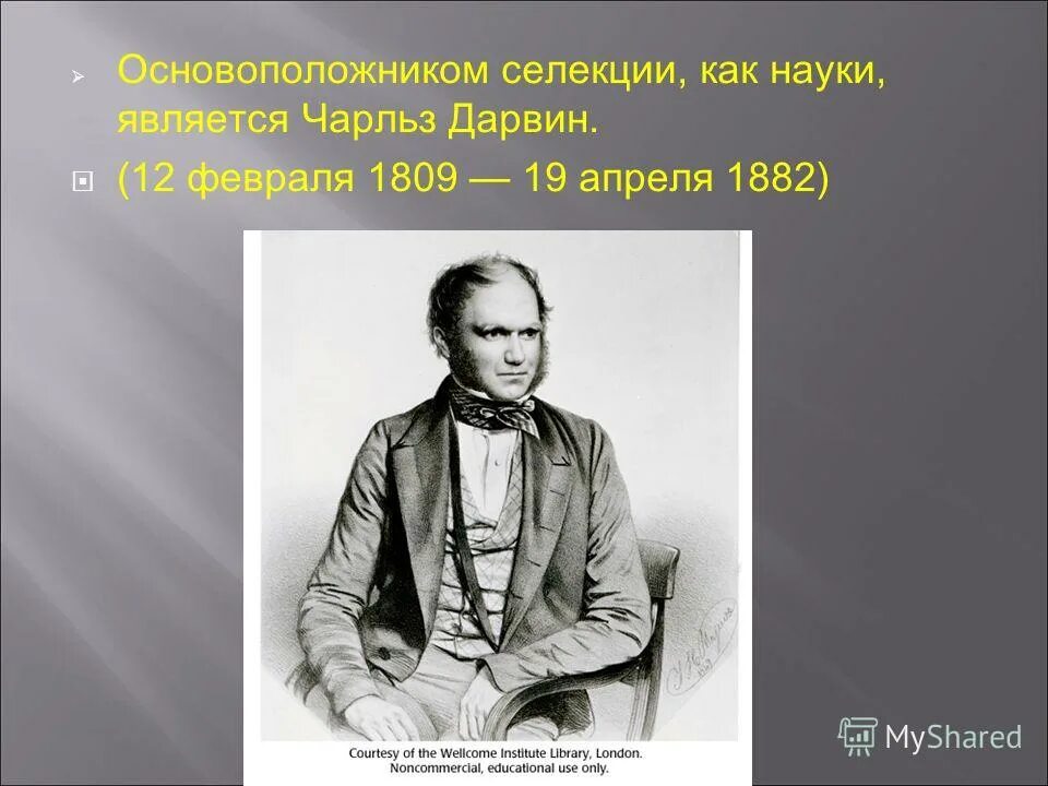 эволюционное учение дарвина 1859. дарвин является основоположником. дарвин является основоположником. чарльз дарвин медали. основоположник учения эволюционизма.