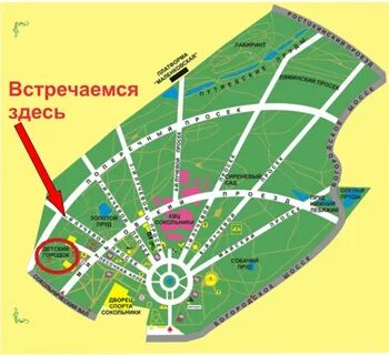 Сокольники парк поселок