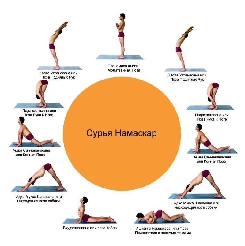 Комплекс Сурья Намаскар Приветствие солнцу. Сурья Намаскар комплекс упражнений Приветствие солнцу. Сурья Намаскар Шивананда йога Приветствие солнцу. Комплекс Сурья Намаскар для начинающих. Намаскар приветствие солнцу