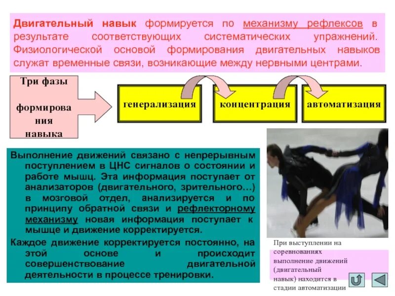 Навыки рефлекс. Физиологический механизм двигательного навыка. Фазы образования двигательного навыка. Физиологическая характеристика формирования двигательного навыка. Двигательный навык формируется в.