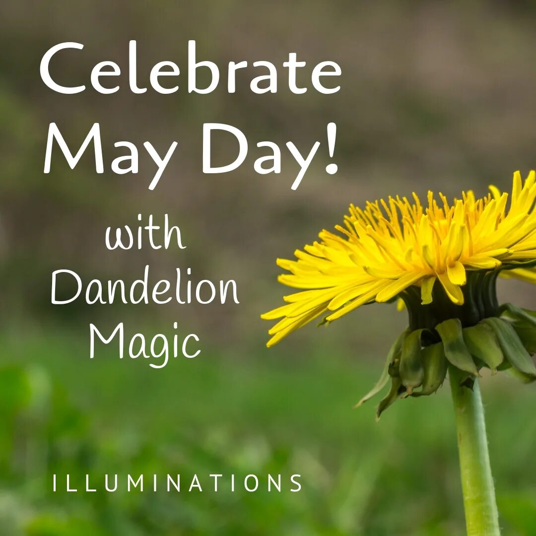 Make may day. World Dandelion Day. Одуванчики магия. The Magic Dandelion pdf.