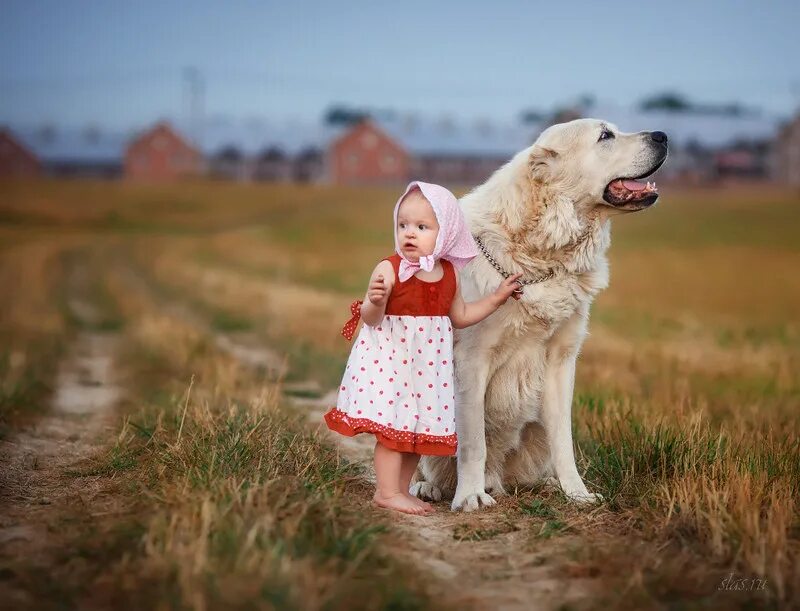 Алабай и лабрадор. Девочка с собакой. Девочка с большой собакой. Детская фотосессия с собакой. Ой бай