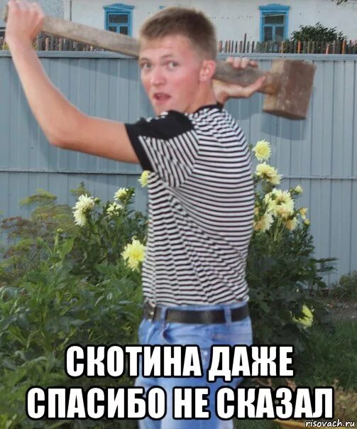 Спасибо даже не знала. Спасибо не надо мем. Картинка не надо. Спасибо даже не знала. Ты сказала спасибо но без уважения.