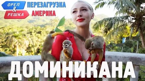 Орел и решка доминикана