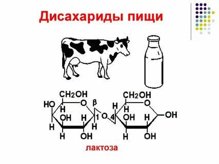 Дисахариды это