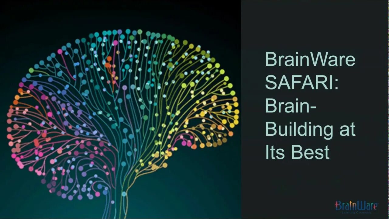 Brain building. Brainware. Computer Brainware. Literacy Planet.