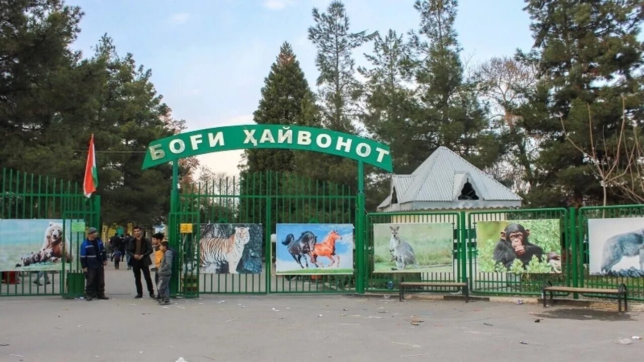 Зоопарк душанбе. Боги хайвонот таджикистан душанбе зоопарк. душанбинский зоопарк душанбе. зоопарк дар душанбе. душанбинский зоопарк достопримечательности таджикистана.