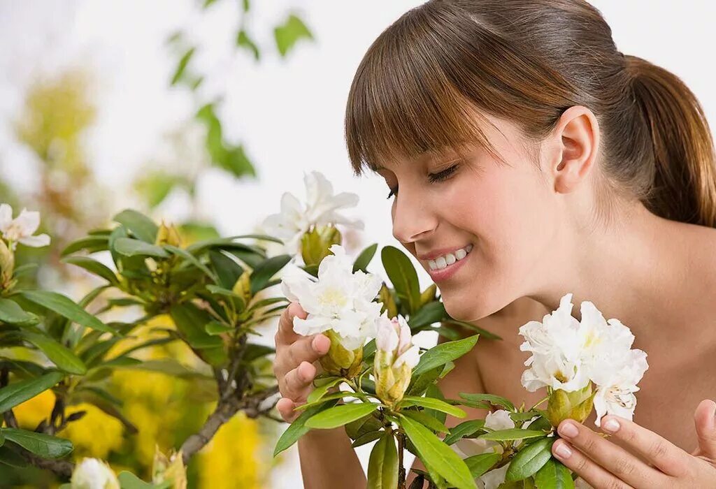 Для чего пахнут цветы. Девушка нюхает цветы. Цветочный запах. Приятный запах цветов. Человек нюхает цветок.