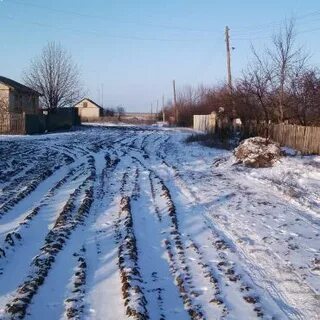 Красный октябрь алексеевский волгоградская область