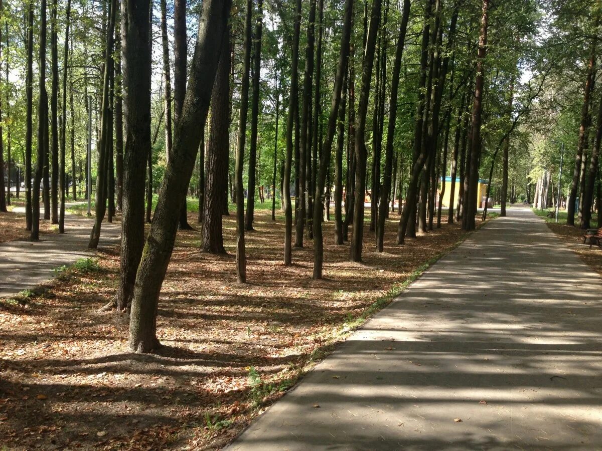 Расторгуевский парк. Расторгуевский парк Видное. Расторгуевский парк шатер. Видновский лесопарк. Видновский лесопарк Видное.