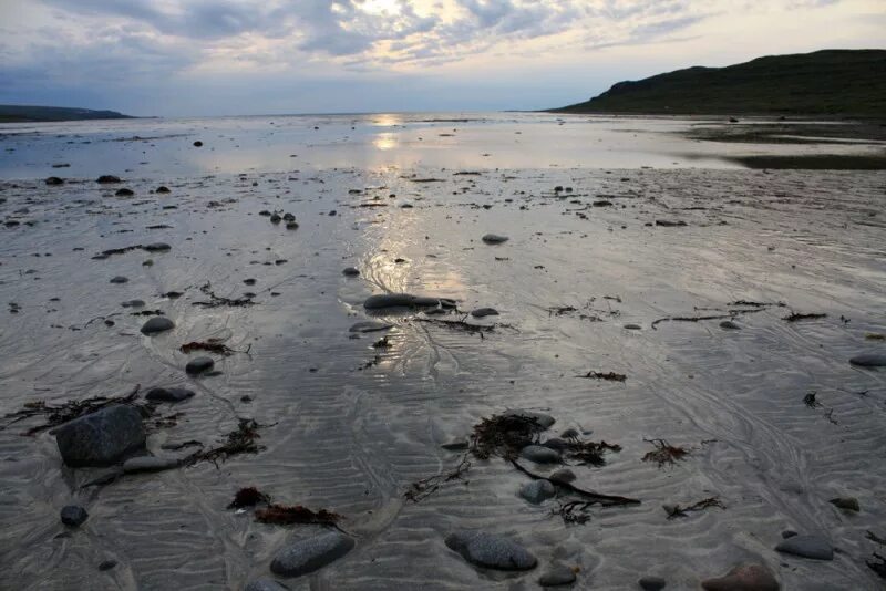 Приливы залив терпения. Приливы и отливы в Баренцевом море. Баренцево море приливы. Приливы и отливы в Мурманске в Кольском. Отлив морской.