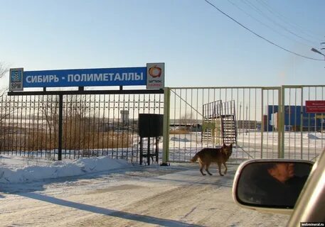 Сибирь полиметаллы
