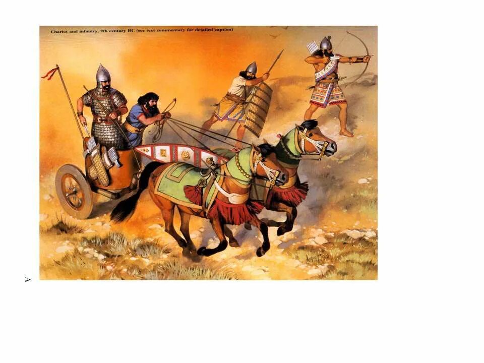 начало широкого использования конного войска. религия ассирии. ангус макбрайд воины древнего мира. завоевательные походы ассирийцев на карте. какими были ассирийцы.