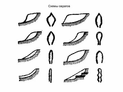 Виды оврагов