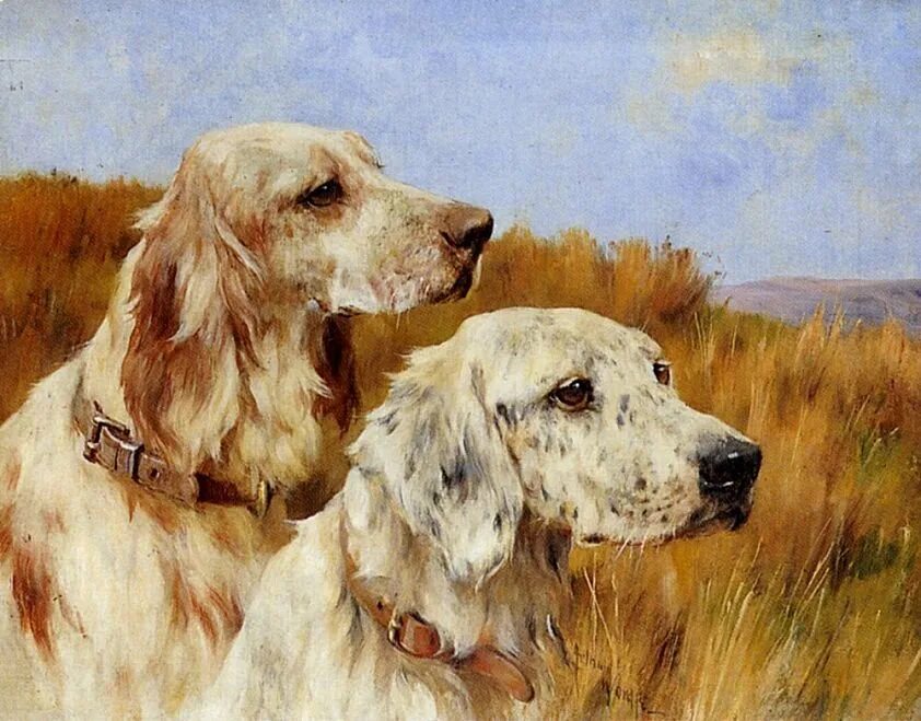 Художник животных как называется. Arthur wardle 1864-1949. артур уордл. артур вардль художник. художник брайтон ривьер.