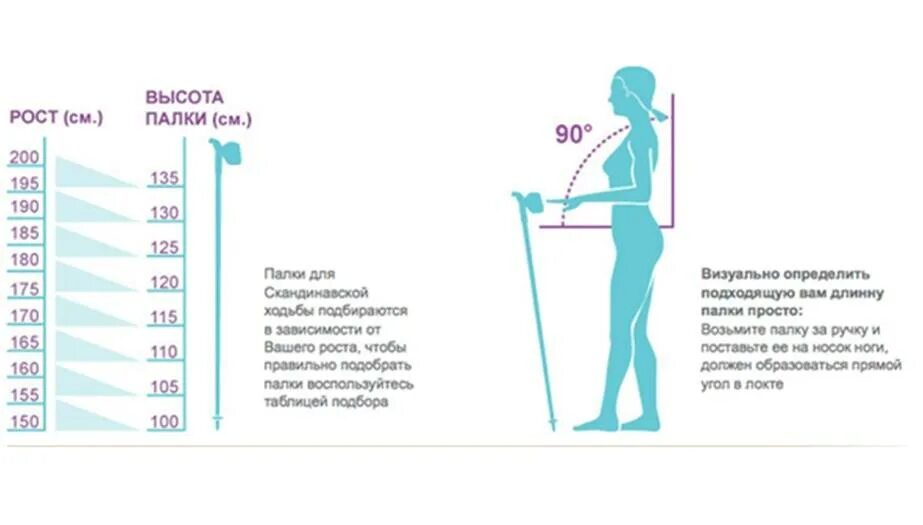 Какой длины палки для скандинавской ходьбы. Как подобрать длину палок для скандинавской ходьбы по росту таблица. Таблица для выбора палок для скандинавской ходьбы. Размер палок для скандинавской ходьбы по росту таблица. Таблица подбора палок для скандинавской ходьбы по росту таблица.