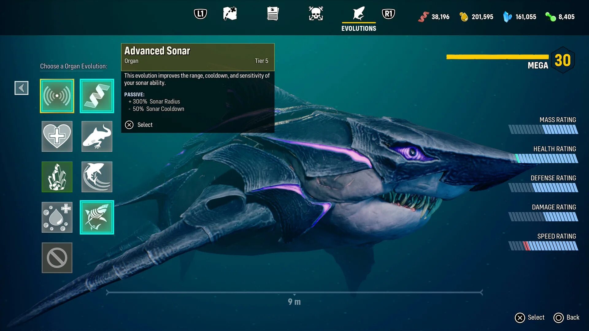 Как сразиться с питом. Как сразиться с питом. Ахиллес троя. Брэд питт троя. Котик дерётся с собакой.