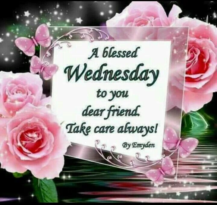 Dear friend good day. Have a nice Wednesday. Happy Wednesday. Wednesday среда. Good morning have a nice Wednesday.