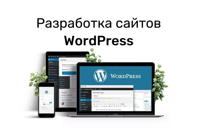 WORDPRESS Creative. Wordpress цена