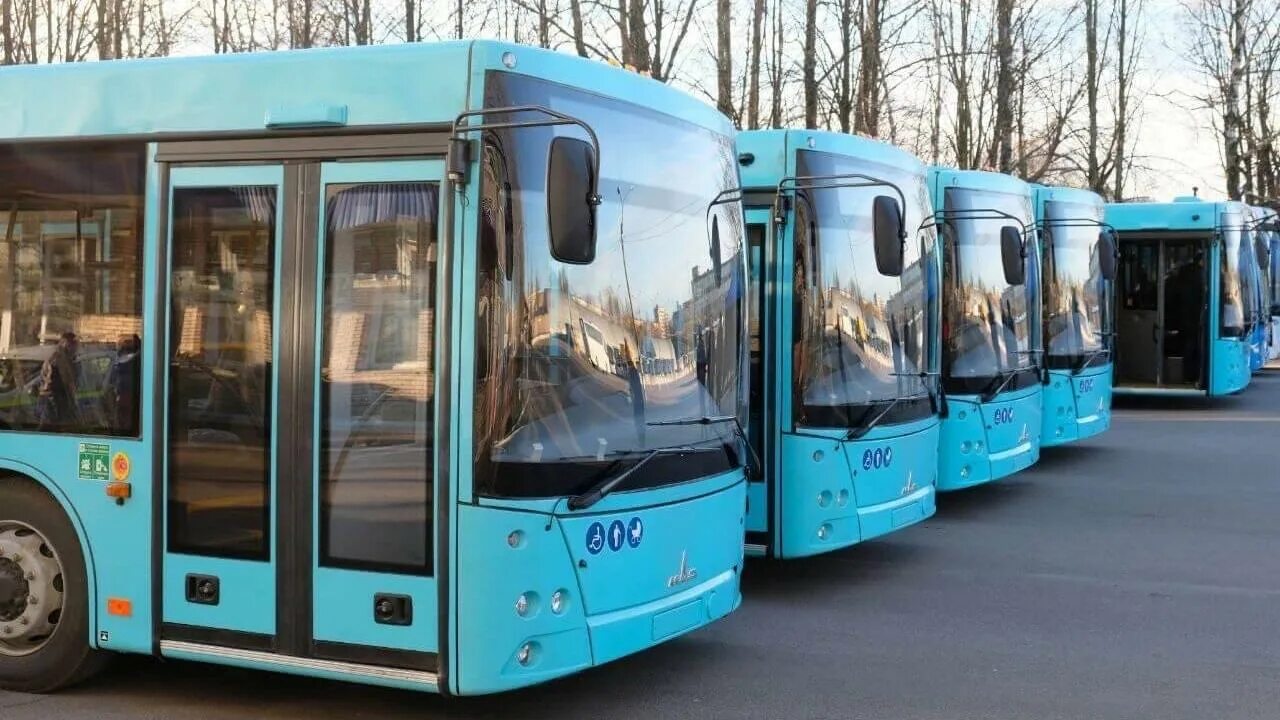 Автобусы изменения. Автобусы изменения