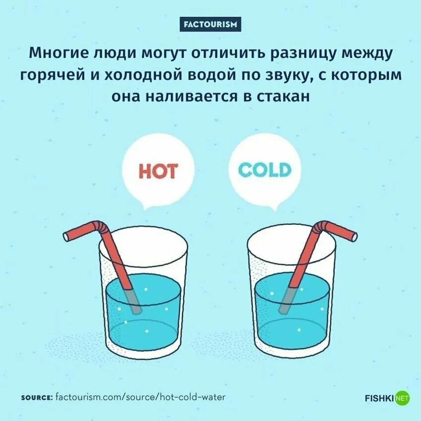 Польза контрастного душа. Холодный или горячий тест. Холодный или горячий тест. Теплый подтон кожи. Холодный или горячий тест.