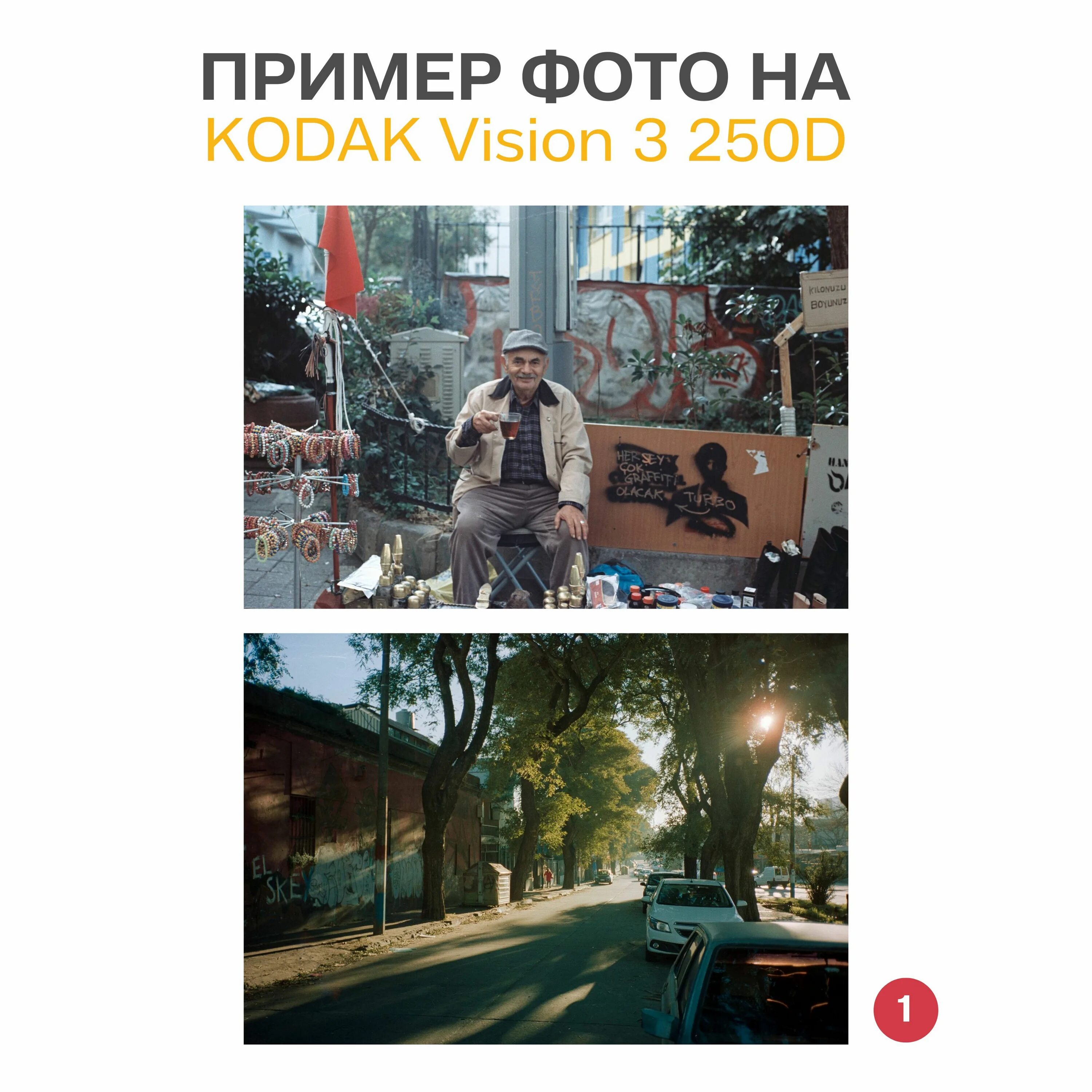 Kodak vision 250d примеры - Арт Минск.ру