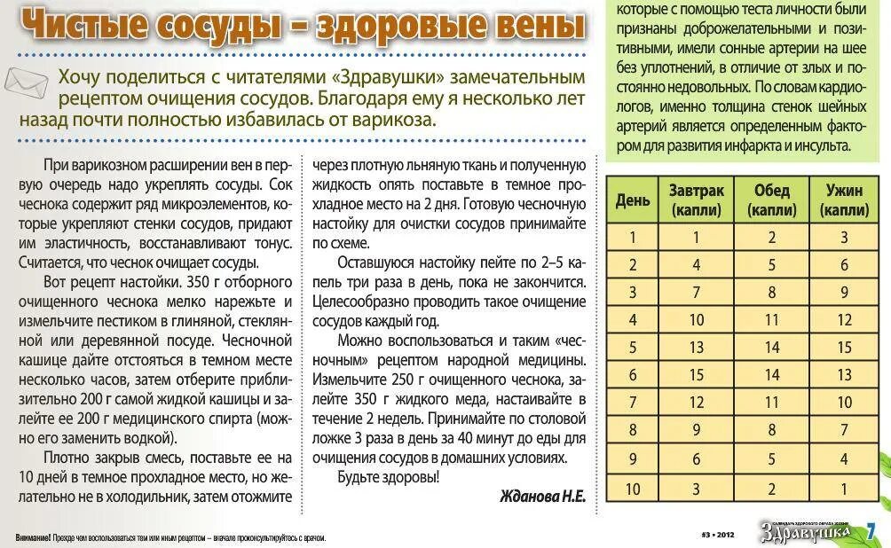 Чесночная настойка схема приема. Чистка сосудов чесночной настойкой. Сколько пить чеснок