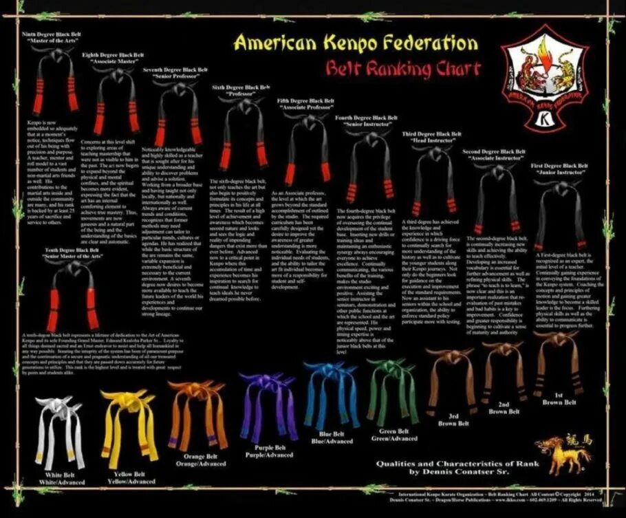 Пояса карате по порядку цвета киокушинкай. Иерархия в карате. Каратэ пояса пояса кёкусинкай. Пояса в каратэ киокушинкай. Пояса в каратэ киокушинкай по порядку кю.