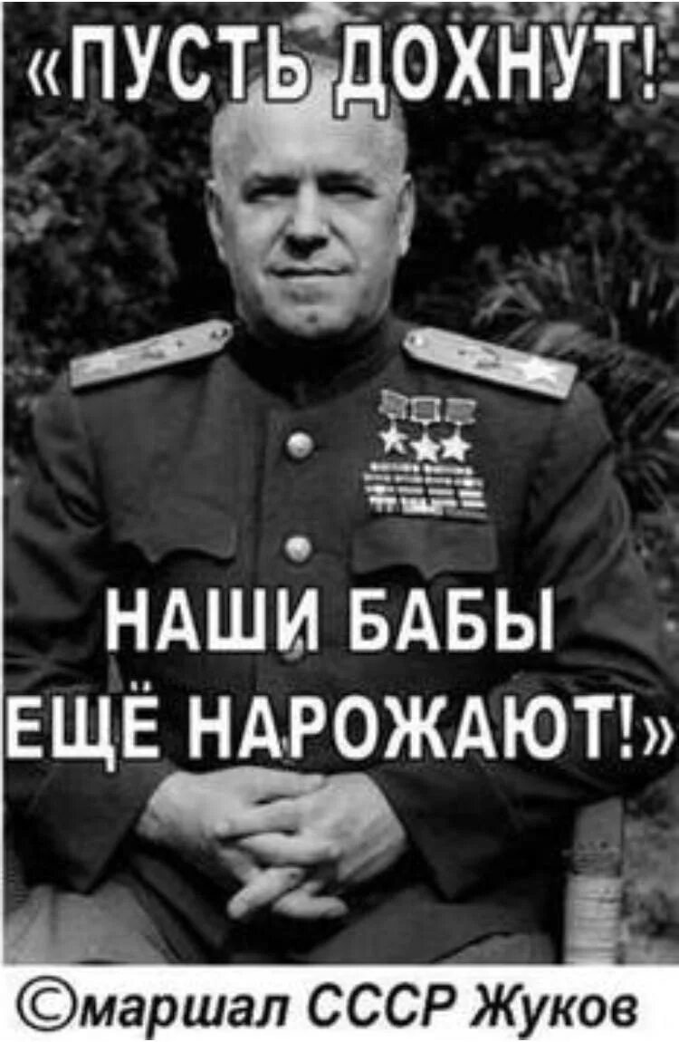 Бабы еще нарожают. Маршал Жуков бабы ещё нарожают. Фраза Жукова бабы еще нарожают.